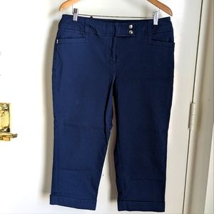 Style & Co. Capri Navy Blue Women's Stretch Pants 14